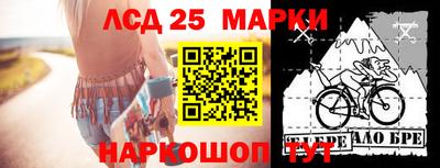 шишки Краснознаменск