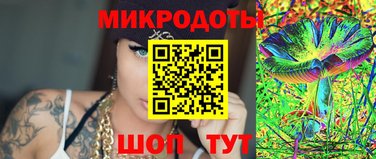 Елизово  Галлюциногенные грибы GOLDEN TEACHER  купить наркоту  Вход с VPN 